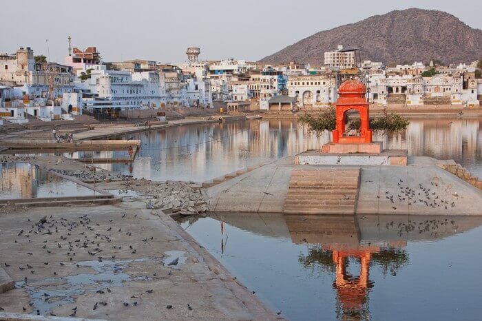 Temples in Pushkar