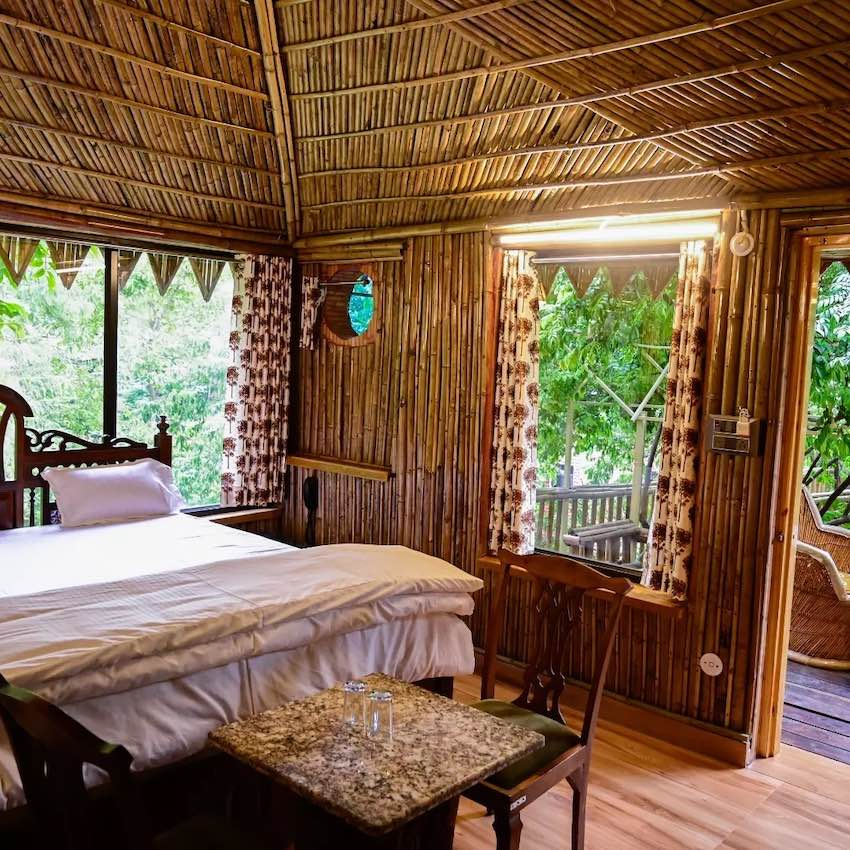 Tree House Second - View 1