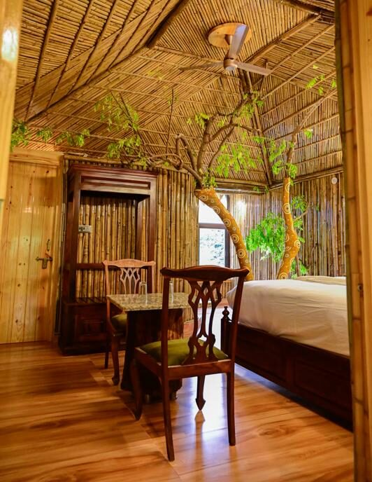 Tree House Third - View 3