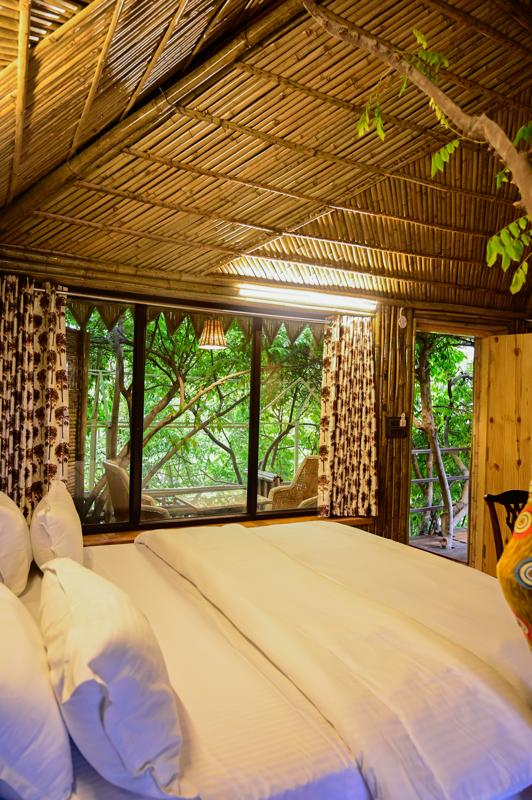 Tree House Third - View 4