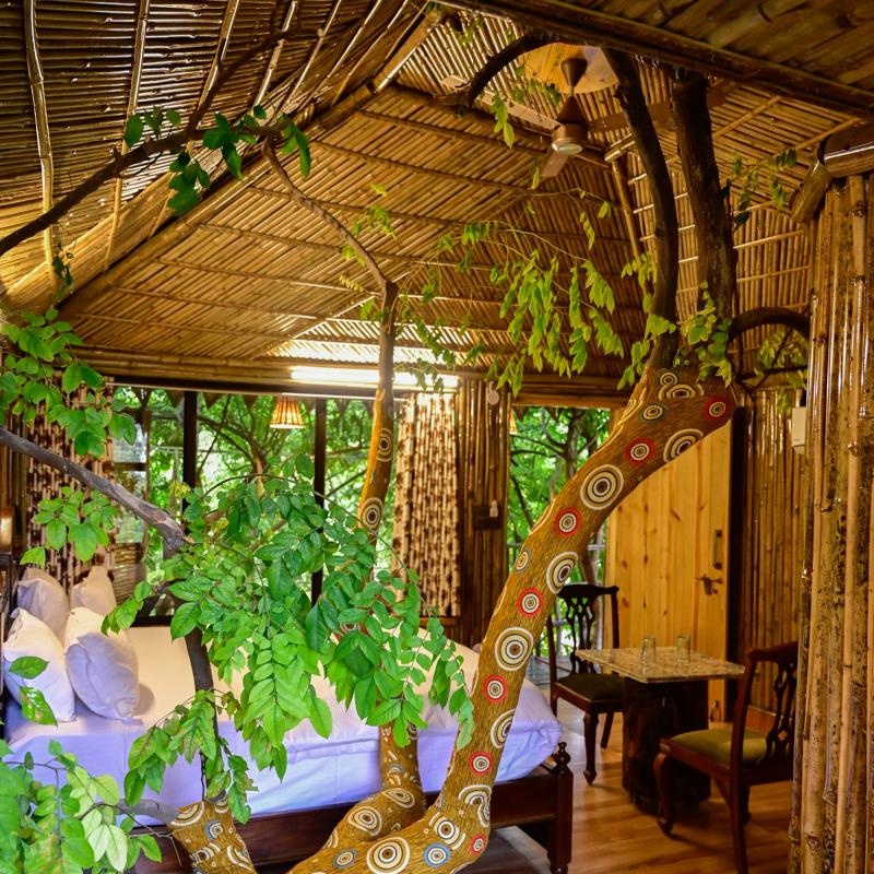 Tree House Third - View 5