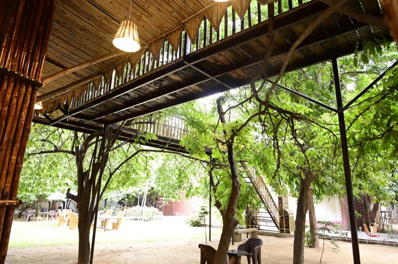 Way to Tree House Image 3